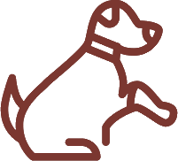 Mięśnie i równowaga